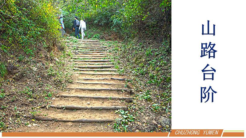 人教部编版语文七年级下册第三单元《台阶》优秀PPT课件（内含2课时）第8页