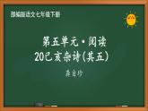 人教部编版语文七年级下册第五单元《古诗五首：己亥杂诗》优秀课件PPT