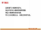 人教部编版语文七年级下册第五单元《一棵小桃树》第二课时课件PPT