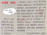 人教部编版语文七年级下册第五单元《一棵小桃树》第二课时课件PPT