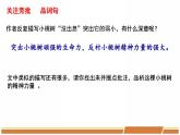 人教部编版语文七年级下册第五单元《一棵小桃树》第二课时课件PPT