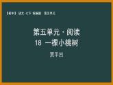 人教部编版语文七年级下册第五单元《一棵小桃树》第一课时课件PPT