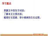 人教部编版语文七年级下册第五单元《一棵小桃树》第一课时课件PPT