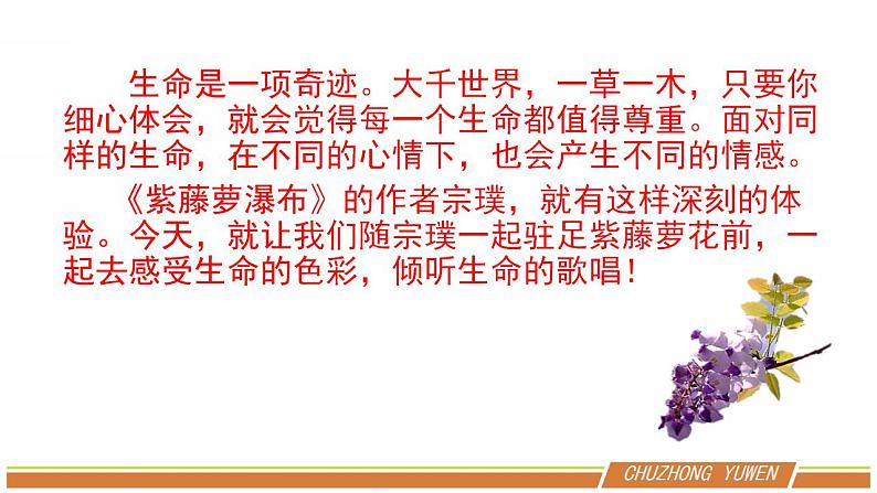 人教部编版语文七年级下册第五单元《紫藤萝瀑布》课件（共2课时）03
