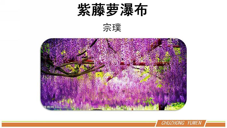 人教部编版语文七年级下册第五单元《紫藤萝瀑布》课件（共2课时）04
