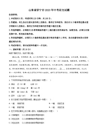 06 山东省济宁市2020年中考语文试题（解析版）