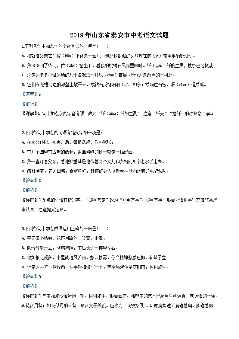 08 山东省泰安市2019年中考语文试题（解析版）01