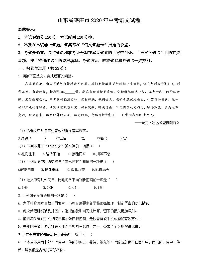 14 山东省枣庄市2020年中考语文试题（原卷版）01