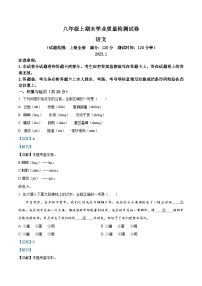 河南省安阳市汤阴县2022-2023学年八年级上学期期末语文试题（解析版）