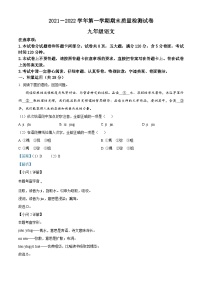 河南省平顶山市叶县2021-2022学年九年级上学期期末语文试题（解析版）