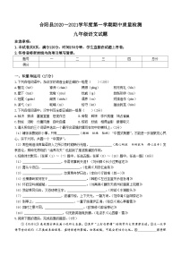 陕西省渭南市合阳县2020_2021学年九年级上学期期中语文试题