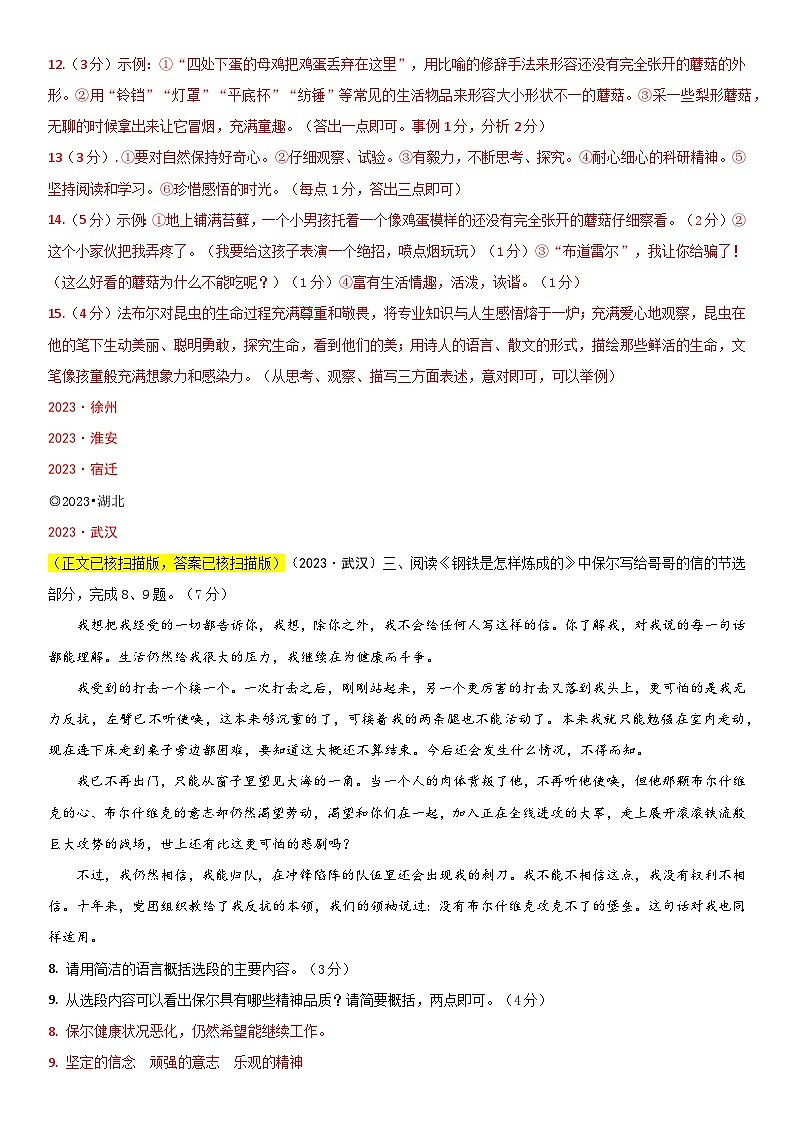 （2023中考）专题十三  名著阅读（大语段）第2页