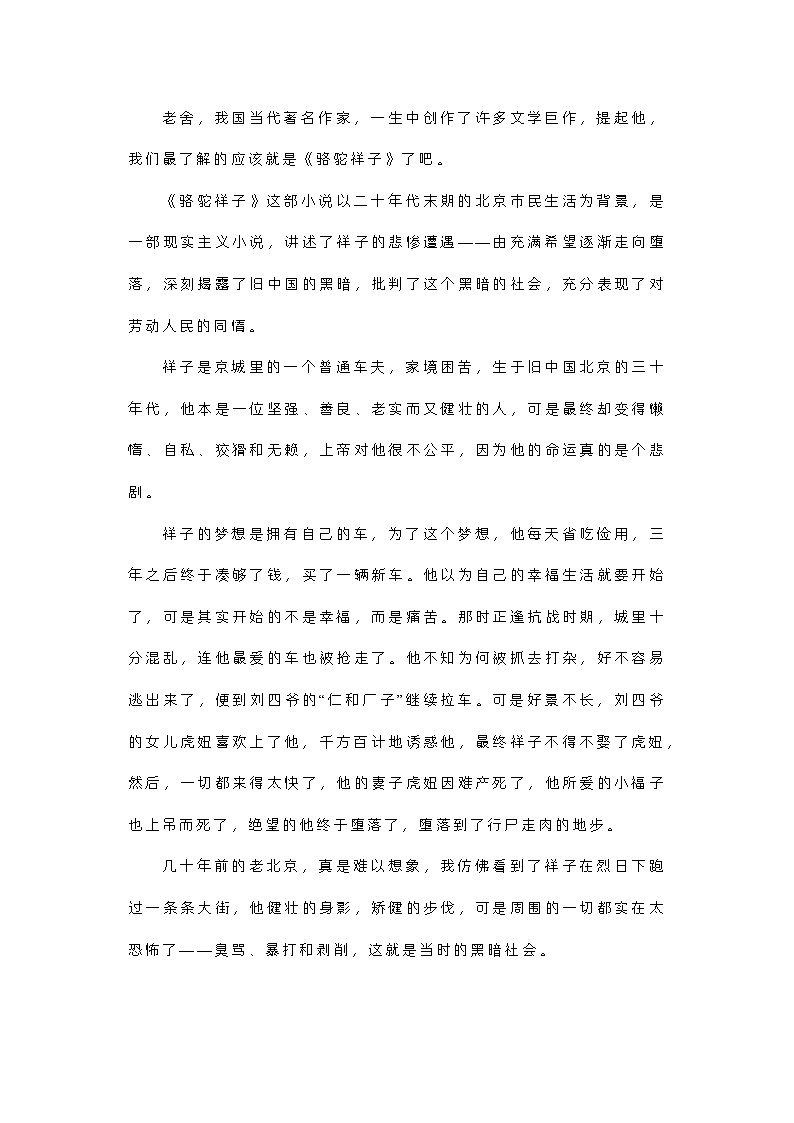 初中语文名著《骆驼祥子》读书笔记10篇第2页