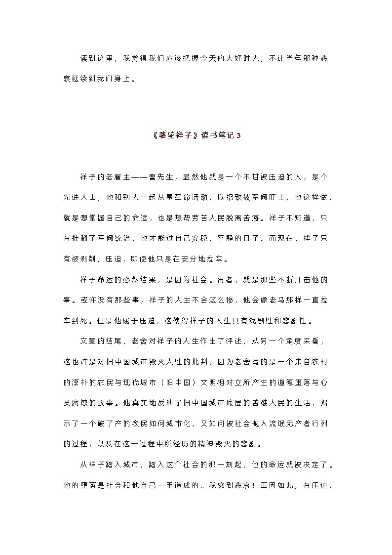 初中语文名著《骆驼祥子》读书笔记10篇第3页