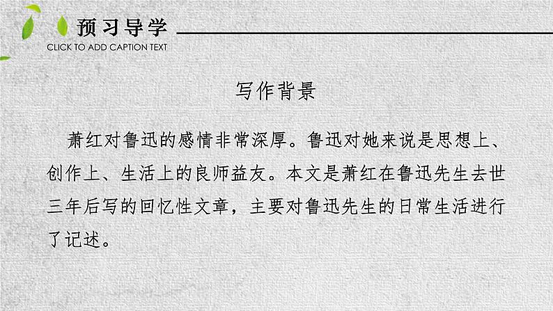 3.回忆鲁迅先生（系列课件）03