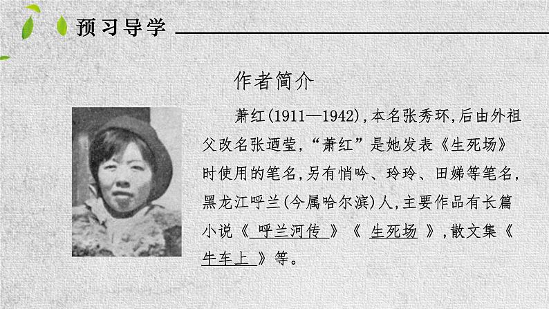 3.回忆鲁迅先生（系列课件）04