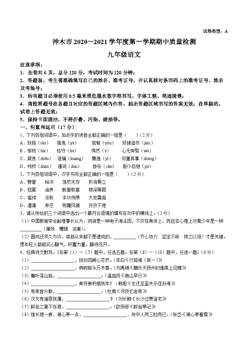 陕西省榆林市神木县2020-2021学年九年级上学期期中语文试题01