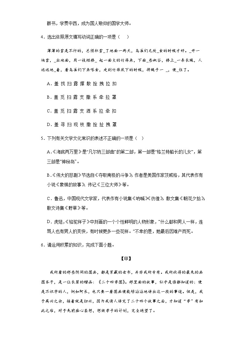 【单元测试】部编版语文七年级上册--第三单元测试 A卷 基础练（含解析）02