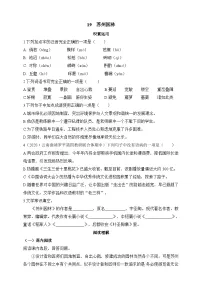 人教部编版 (五四制)八年级上册(2018)第五单元19 苏州园林精品习题