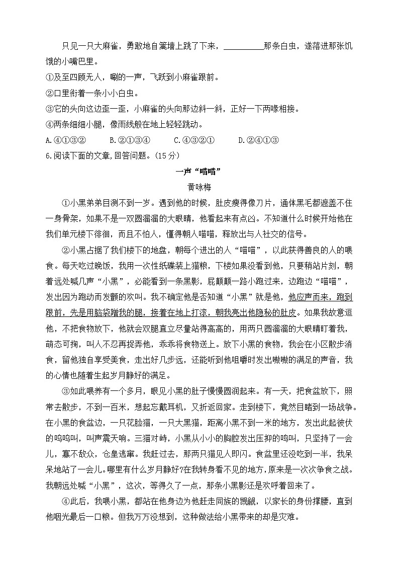 人教统编版（五四学制）初中语文 七年级上册 16  猫 同步练习（含答案）02