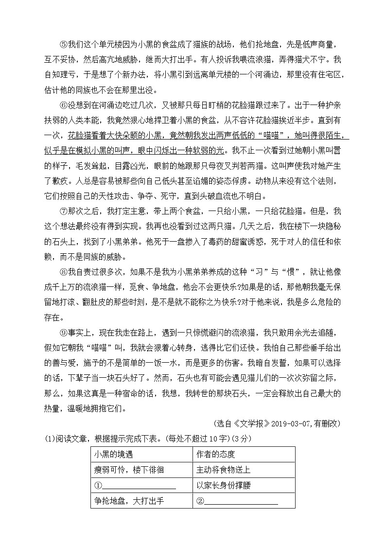 人教统编版（五四学制）初中语文 七年级上册 16  猫 同步练习（含答案）03