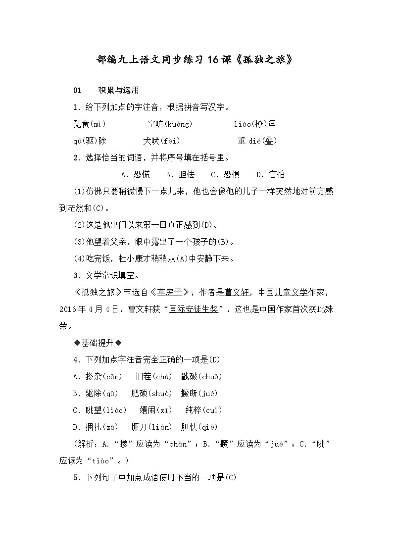 人教统编版（五四学制）初中语文 九年级上册 16课《孤独之旅》（同步练习）01