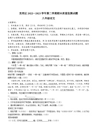 广东省深圳市龙岗区2022-2023学年八年级下学期期末语文试题