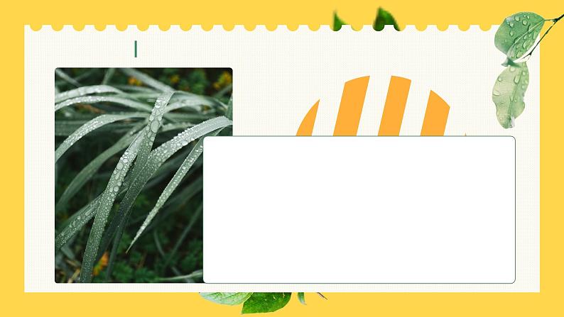 初中语文部编版九年级上册-你是人间的四月天 课件第4页