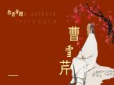 初中语文部编版九年级上册-刘姥姥进大观园 课件+教案