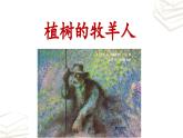 【核心素养】部编版初中语文七年级上册第13课《植树的牧羊人》课件