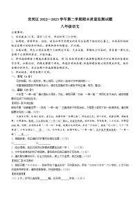 广东省深圳市龙岗区2022-2023学年八年级下学期期末语文试题（含答案）