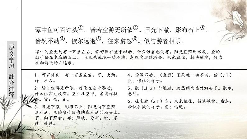 第10课《小石潭记》课件第8页