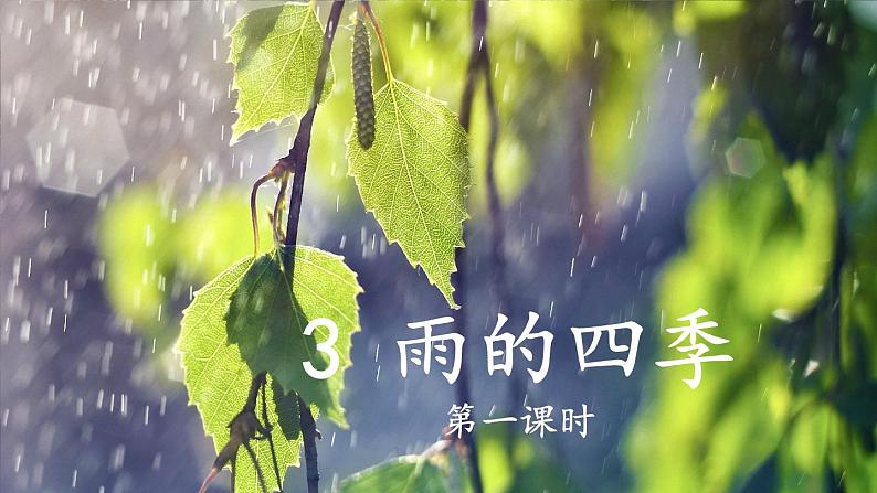 第3课《雨的四季》（同步课件）第1页