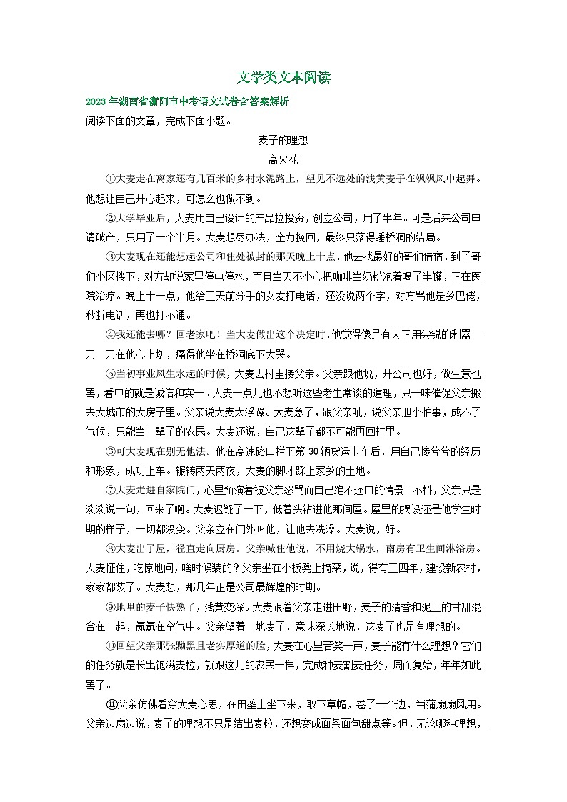 湖南省衡阳市2021-2023年三年中考语文试卷分类汇编：文学类文本阅读01