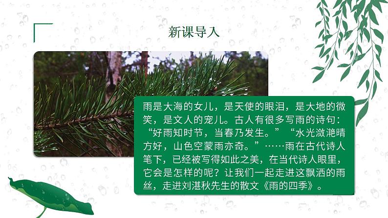 初中语文部编版七年级上册-雨的四季 课件+教案03