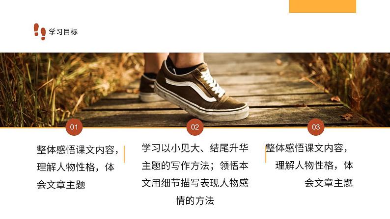 初中语文部编版七年级上册-散步 课件+教案02