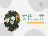 初中语文部编版七年级上册-散文诗二首 课件+教案