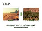 初中语文部编版七年级上册-植树的牧羊人 课件+教案