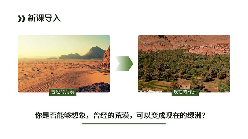 初中语文部编版七年级上册-植树的牧羊人 课件第3页