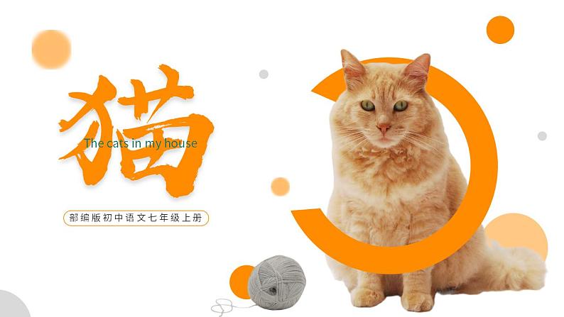 初中语文部编版七年级上册-猫 课件+教案01