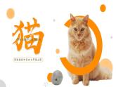 初中语文部编版七年级上册-猫 课件+教案