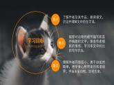 初中语文部编版七年级上册-猫 课件+教案