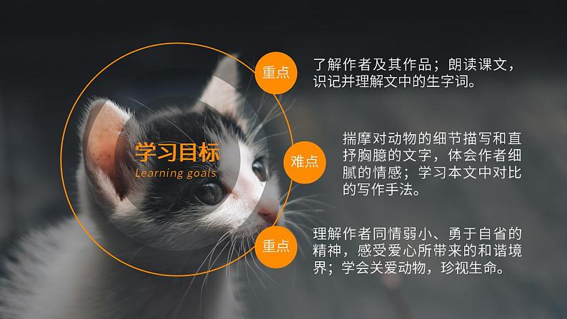 初中语文部编版七年级上册-猫 课件+教案02