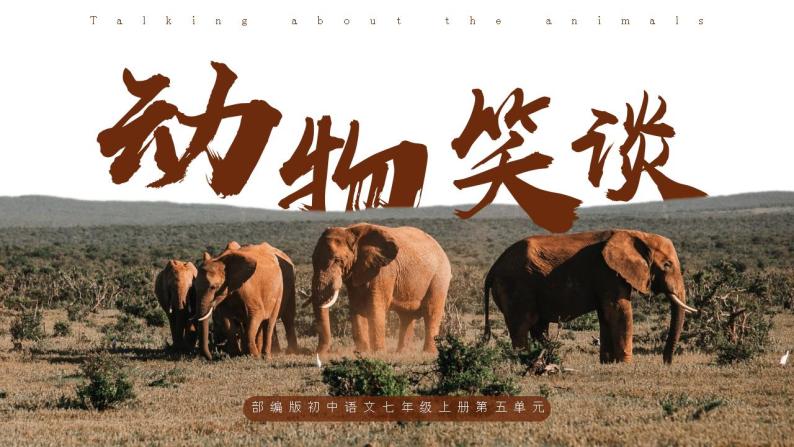 初中语文部编版七年级上册-动物笑谈 课件+教案01