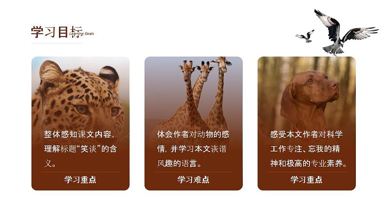 初中语文部编版七年级上册-动物笑谈 课件+教案02