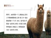 初中语文部编版七年级上册-动物笑谈 课件+教案