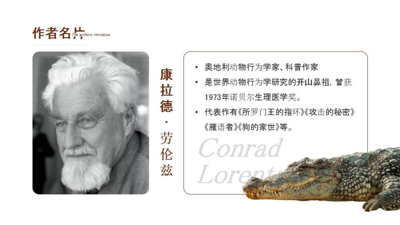 初中语文部编版七年级上册-动物笑谈 课件+教案04