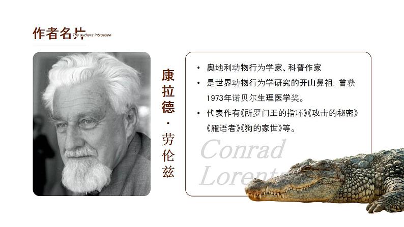 初中语文部编版七年级上册-动物笑谈 课件+教案04