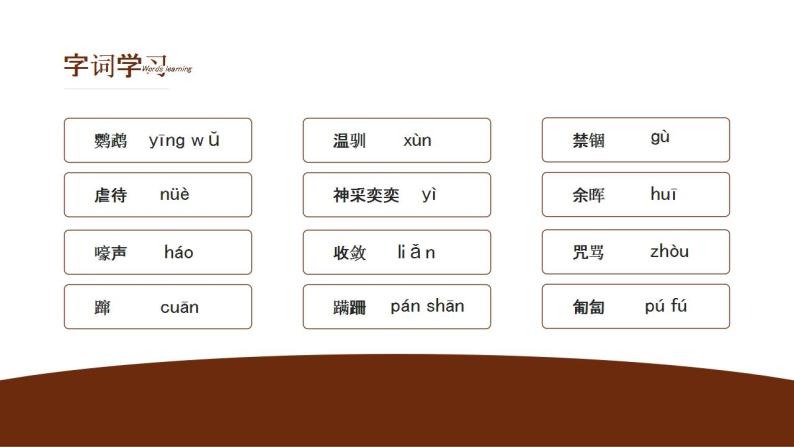 初中语文部编版七年级上册-动物笑谈 课件+教案06