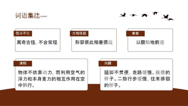 初中语文部编版七年级上册-动物笑谈 课件+教案07